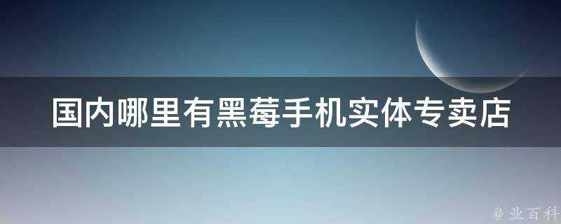 國內哪裡有黑莓手機實體專賣店