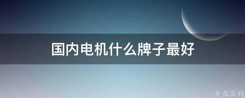 國內電機什麼牌子最好