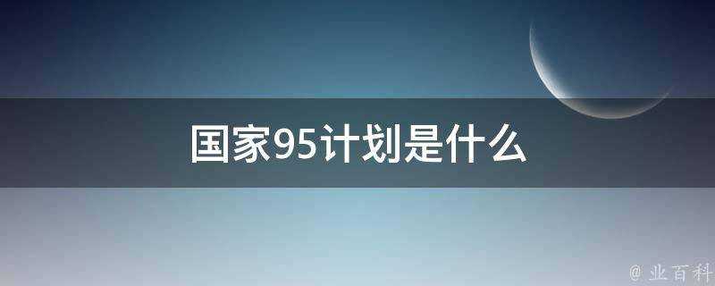 國家95計劃是什麼