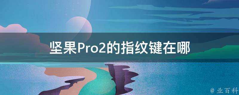 堅果Pro2的指紋鍵在哪