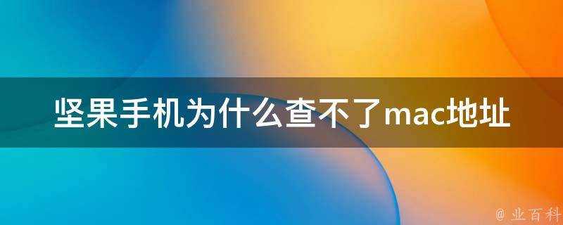 堅果手機為什麼查不了mac地址