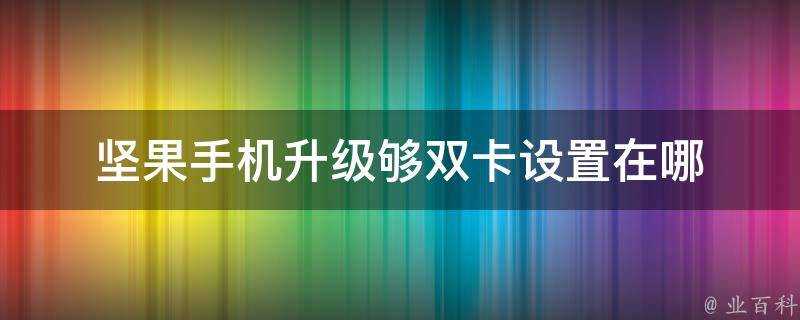 堅果手機升級夠雙卡設定在哪