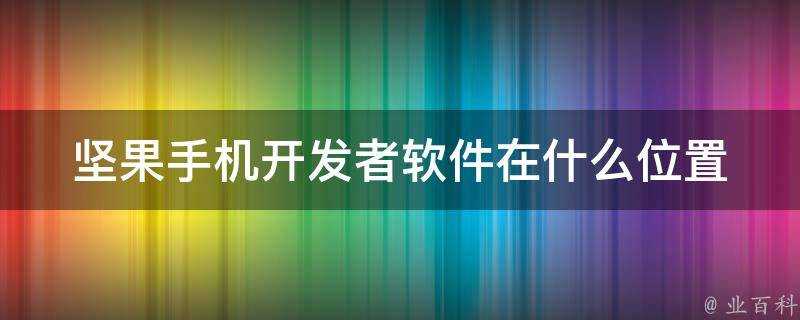 堅果手機開發者軟體在什麼位置