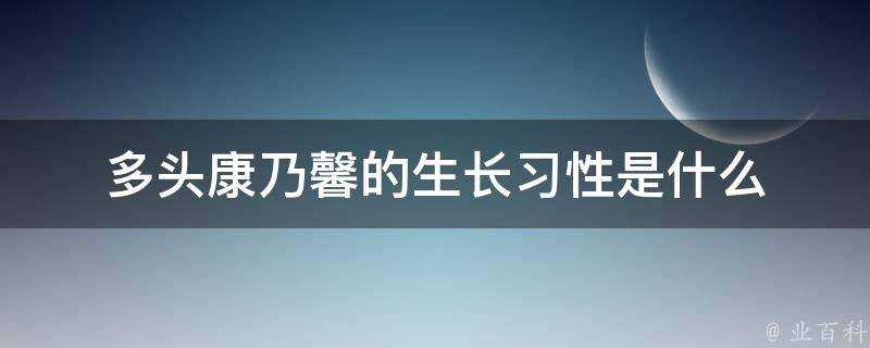 多頭康乃馨的生長習性是什麼