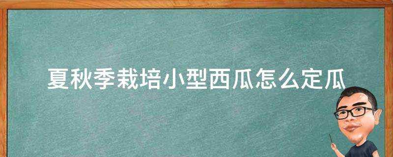 夏秋季栽培小型西瓜怎麼定瓜