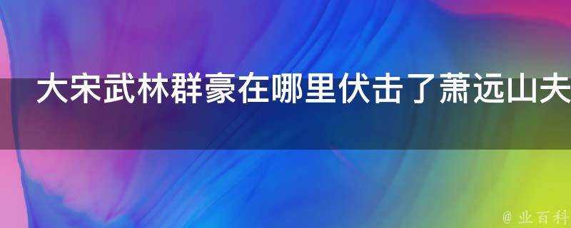 大宋武林群豪在哪裡伏擊了蕭遠山夫婦