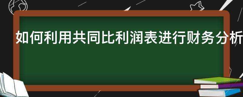 如何利用共同比利潤表進行財務分析