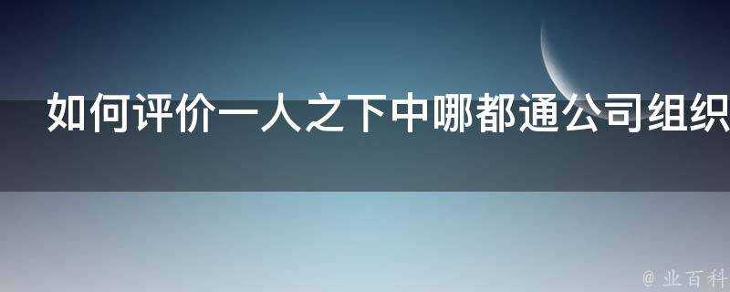 如何評價一人之下中哪都通公司組織