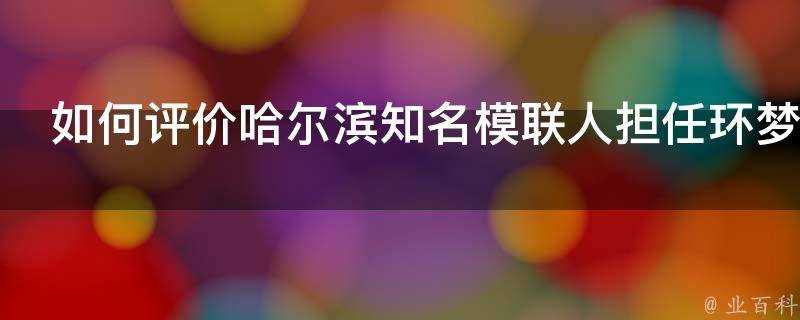 如何評價哈爾濱知名模聯人擔任環夢協調總監一職