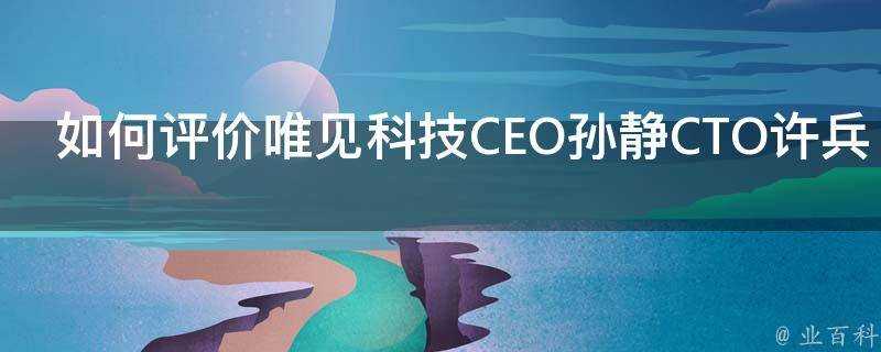 如何評價唯見科技CEO孫靜CTO許兵