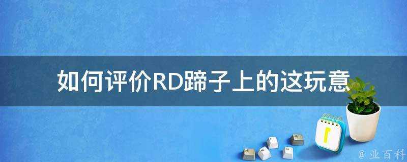 如何評價RD蹄子上的這玩意