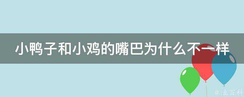 小鴨子和小雞的嘴巴為什麼不一樣