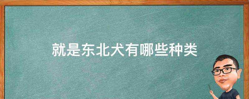 就是東北犬有哪些種類