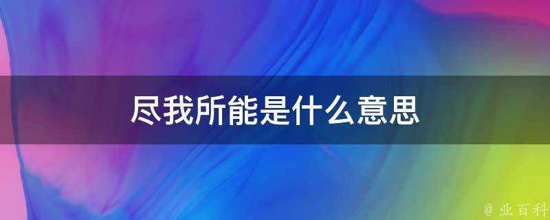 盡我所能是什麼意思