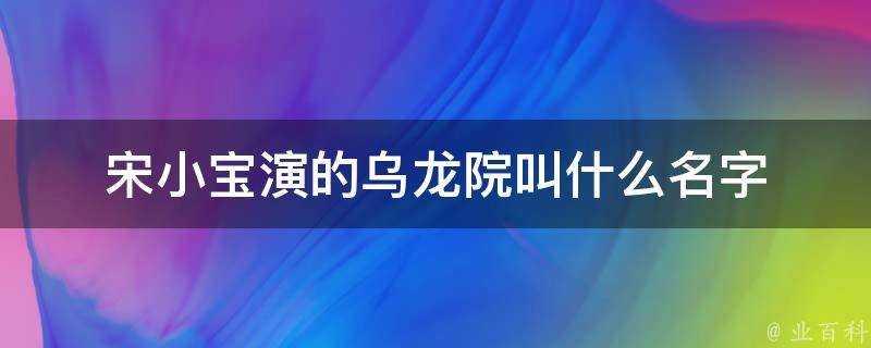 宋小寶演的烏龍院叫什麼名字