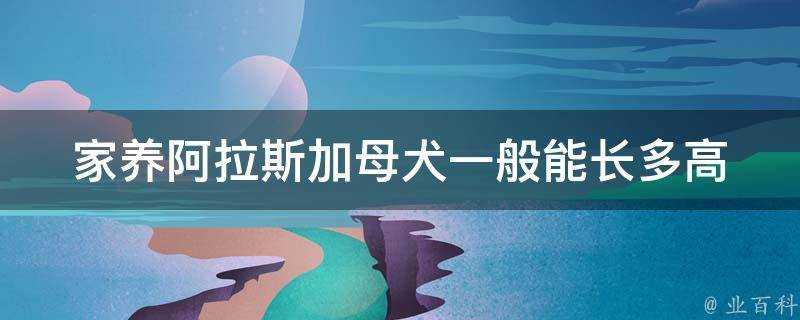 家養阿拉斯加母犬一般能長多高