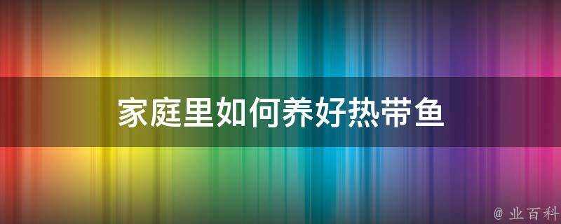 家庭裡如何養好熱帶魚