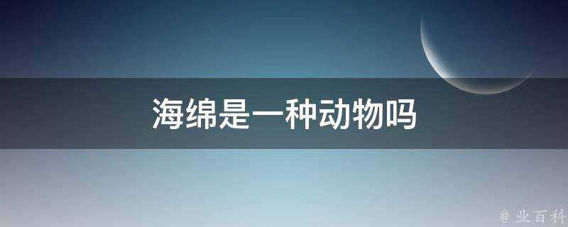 海綿是一種動物嗎