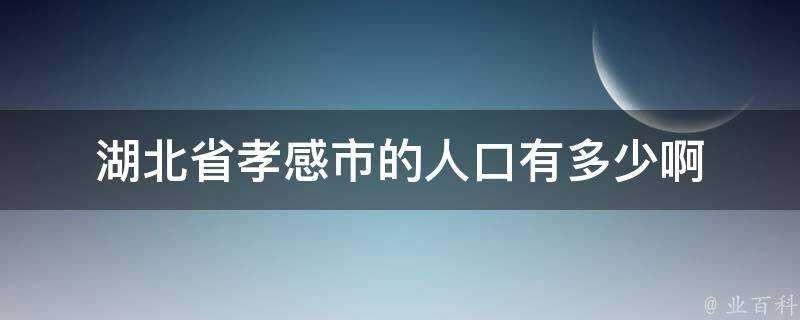 湖北省孝感市的人口有多少啊