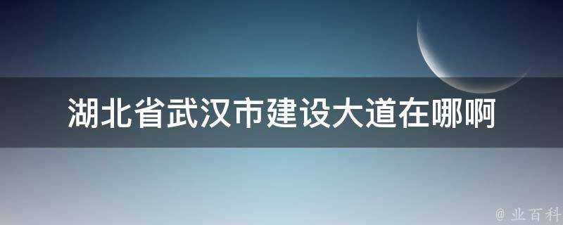 湖北省武漢市建設大道在哪啊