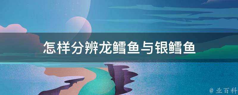 怎樣分辨龍鱈魚與銀鱈魚