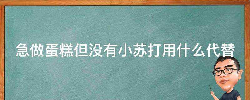 急做蛋糕但沒有小蘇打用什麼代替