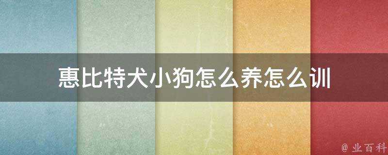 惠位元犬小狗怎麼養怎麼訓