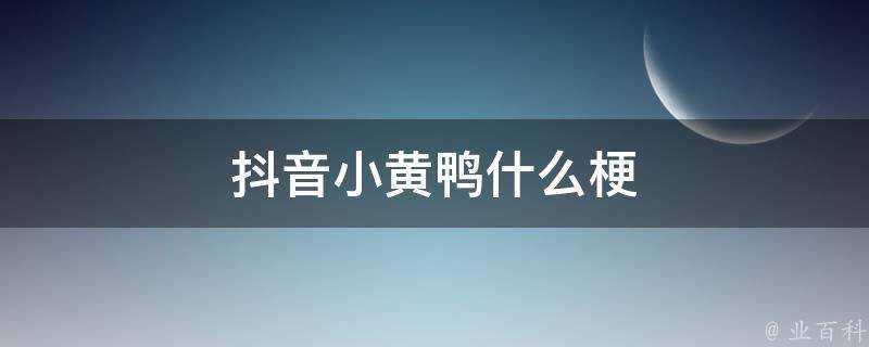 抖音小黃鴨什麼梗