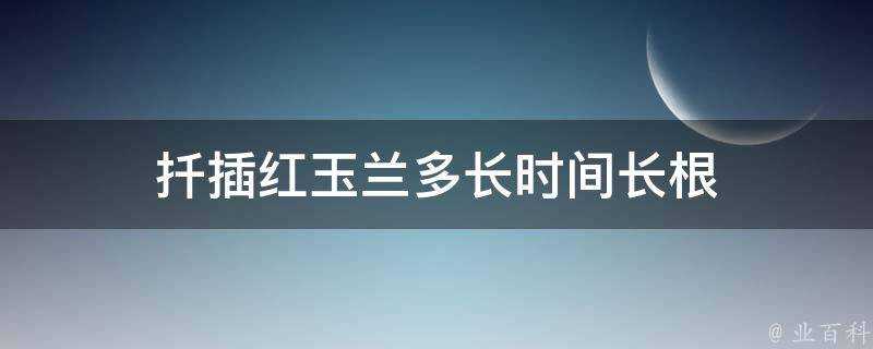 扦插紅玉蘭多長時間長根