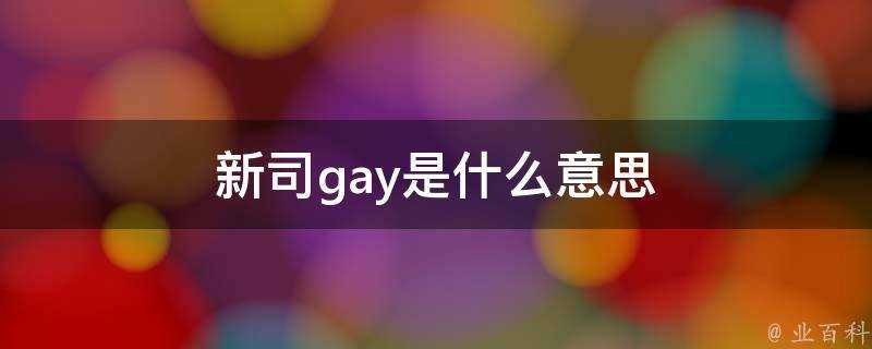 新司gay是什麼意思