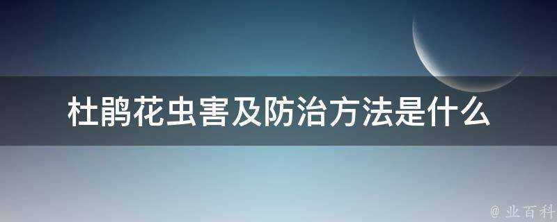 杜鵑花蟲害及防治方法是什麼