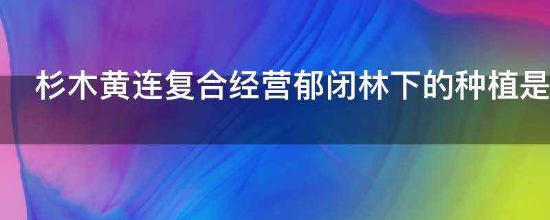 杉木黃連複合經營鬱閉林下的種植是怎樣的