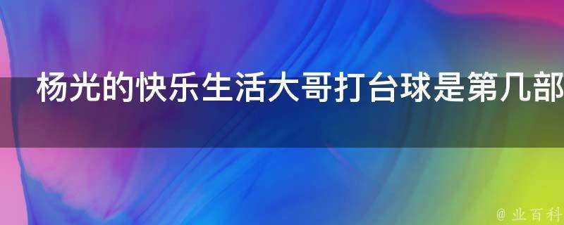 楊光的快樂生活大哥打檯球是第幾部