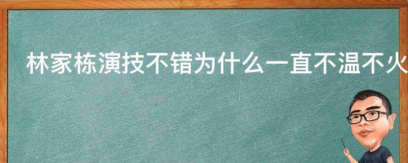 林家棟演技不錯為什麼一直不溫不火