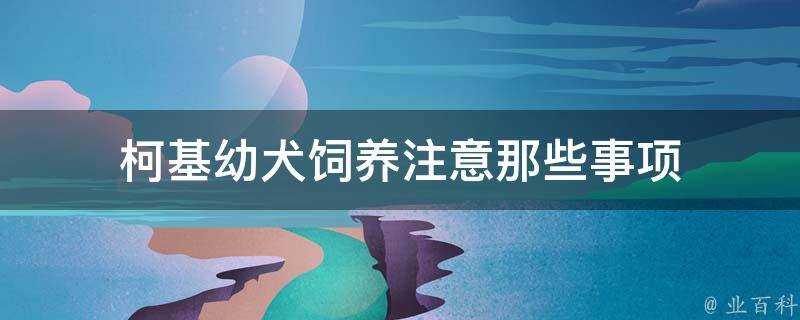 柯基幼犬飼養注意那些事項