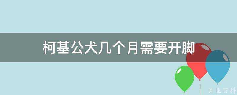 柯基公犬幾個月需要開腳