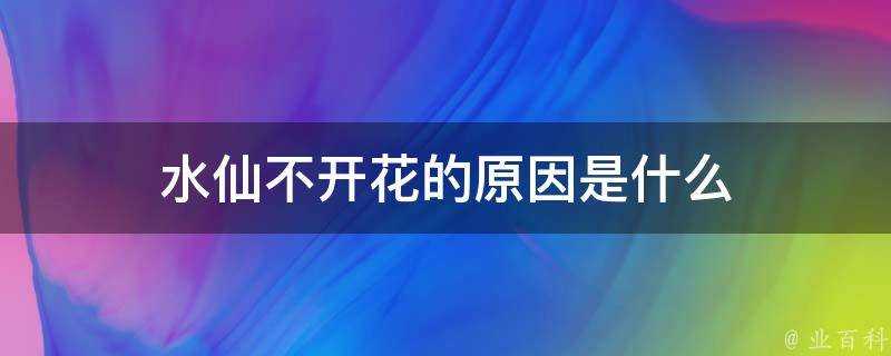 水仙不開花的原因是什麼