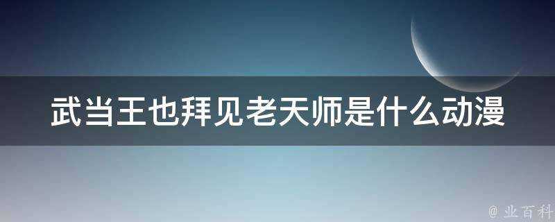 武當王也拜見老天師是什麼動漫