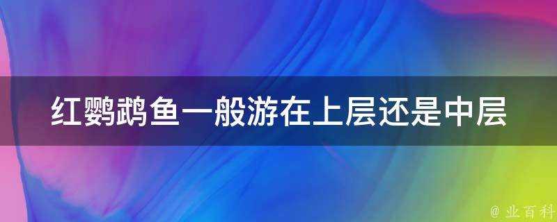 紅鸚鵡魚一般遊在上層還是中層