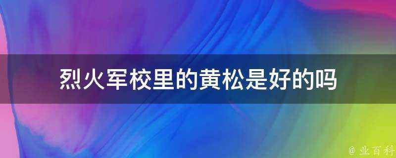 烈火軍校裡的黃松是好的嗎