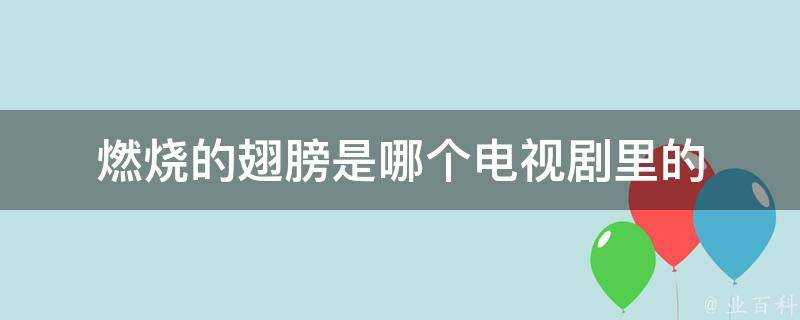 燃燒的翅膀是哪個電視劇裡的