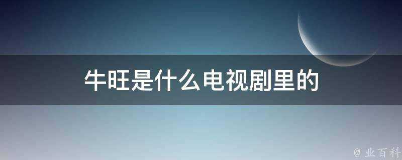 牛旺是什麼電視劇裡的