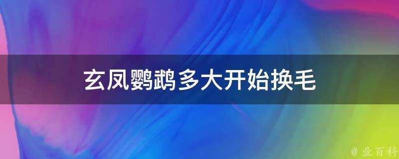 玄鳳鸚鵡多大開始換毛