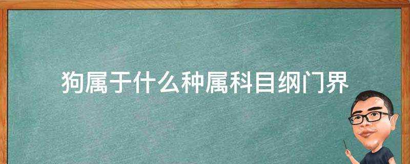 狗屬於什麼種屬科目綱門界