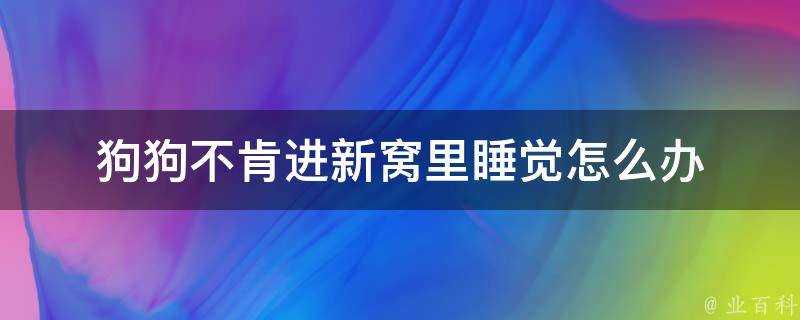 狗狗不肯進新窩裡睡覺怎麼辦