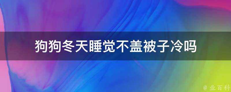 狗狗冬天睡覺不蓋被子冷嗎