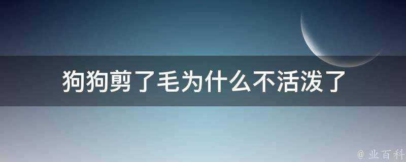 狗狗剪了毛為什麼不活潑了