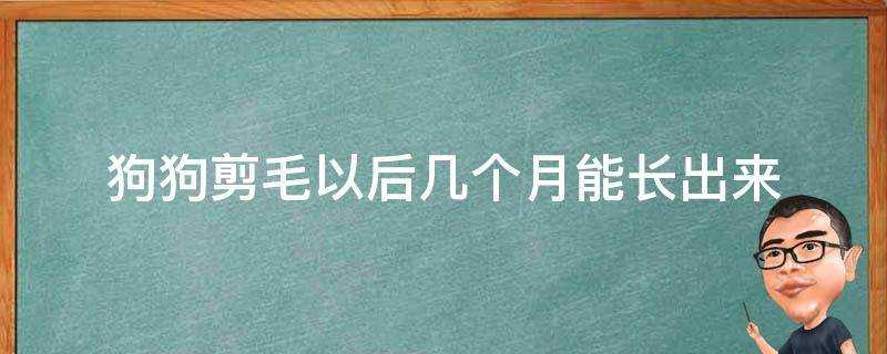 狗狗剪毛以後幾個月能長出來