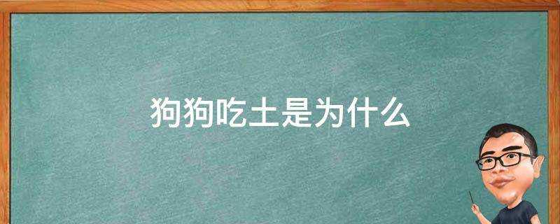 狗狗吃土是為什麼