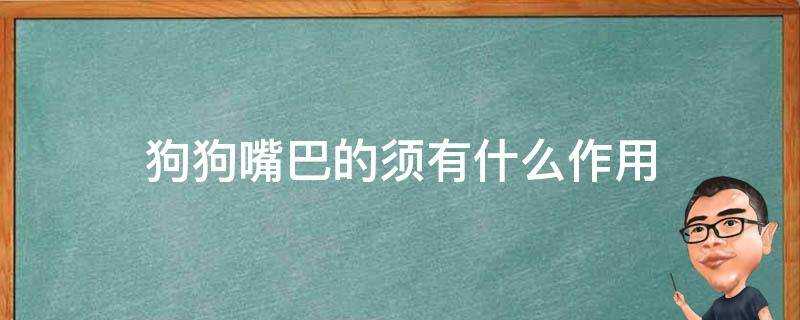 狗狗嘴巴的須有什麼作用